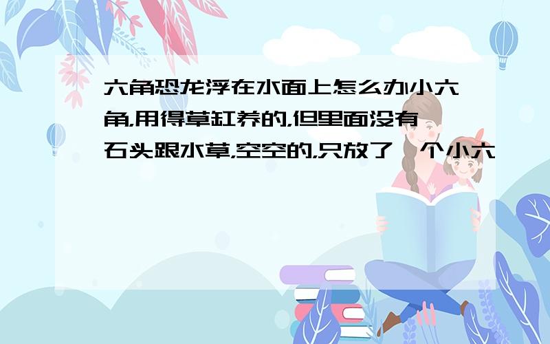 六角恐龙浮在水面上怎么办小六角，用得草缸养的，但里面没有石头跟水草，空空的，只放了一个小六