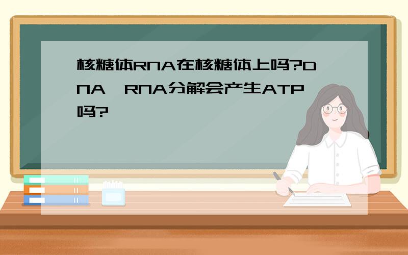 核糖体RNA在核糖体上吗?DNA,RNA分解会产生ATP吗?