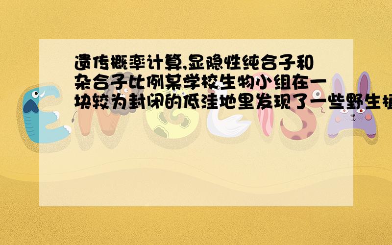 遗传概率计算,显隐性纯合子和杂合子比例某学校生物小组在一块较为封闭的低洼地里发现了一些野生植株,这些植株的花色有红色和白色两种,叶片有宽叶和窄叶两种.同学们分析两组对该植物