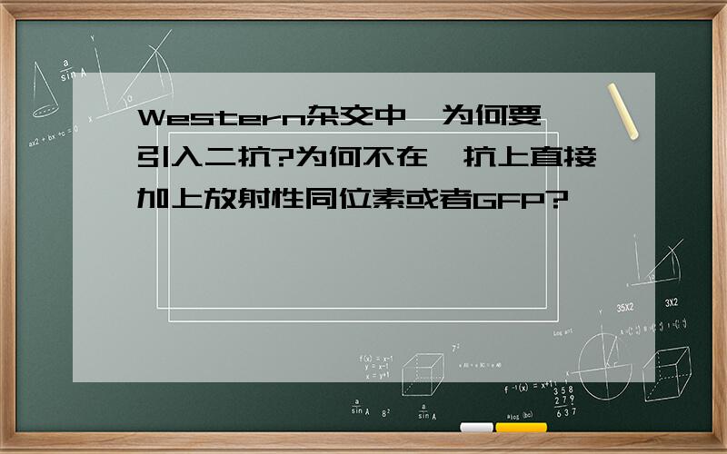 Western杂交中,为何要引入二抗?为何不在一抗上直接加上放射性同位素或者GFP?