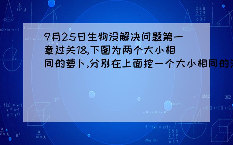 9月25日生物没解决问题第一章过关18,下图为两个大小相同的萝卜,分别在上面挖一个大小相同的洞,并在洞内各插入一支口径与洞口相同的玻璃管,甲玻璃管内注入3mL清水,乙玻璃管内注入3mL浓盐