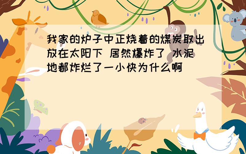 我家的炉子中正烧着的煤炭取出放在太阳下 居然爆炸了 水泥地都炸烂了一小快为什么啊