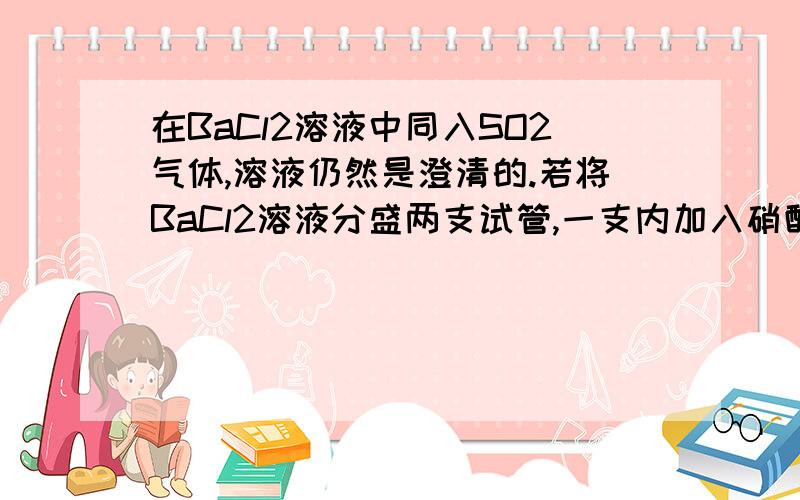 在BaCl2溶液中同入SO2气体,溶液仍然是澄清的.若将BaCl2溶液分盛两支试管,一支内加入硝酸,另一支内加入烧碱溶液,然后再向两支试管中分别同入SO2气体,结果两支试管中都产生了白色沉淀,由此