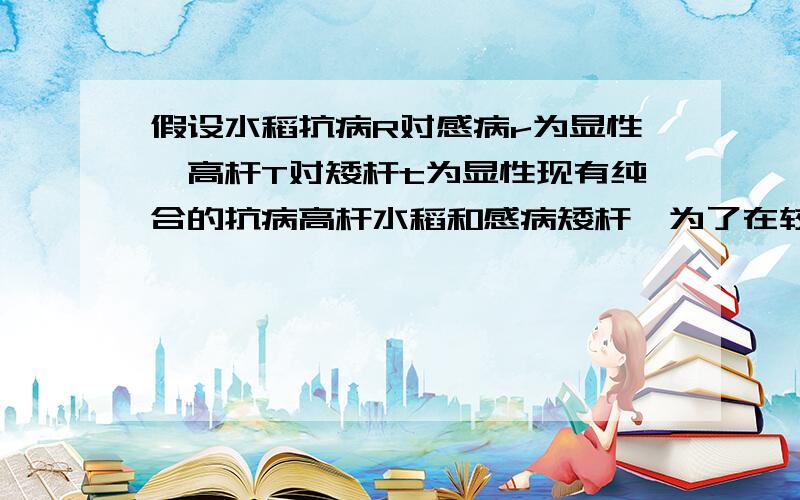 假设水稻抗病R对感病r为显性,高杆T对矮杆t为显性现有纯合的抗病高杆水稻和感病矮杆,为了在较短的年限内培育出稳定遗传的抗病矮杆水稻,将纯合的抗病高杆水稻和感病矮杆杂交,得到杂交