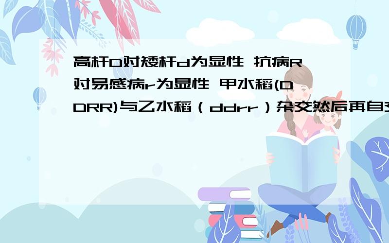 高杆D对矮杆d为显性 抗病R对易感病r为显性 甲水稻(DDRR)与乙水稻（ddrr）杂交然后再自交高杆D对矮杆d为显性 抗病R对易感病r为显性甲水稻(DDRR)与乙水稻（ddrr）杂交得F1 F1后再自交得F2F2代的高