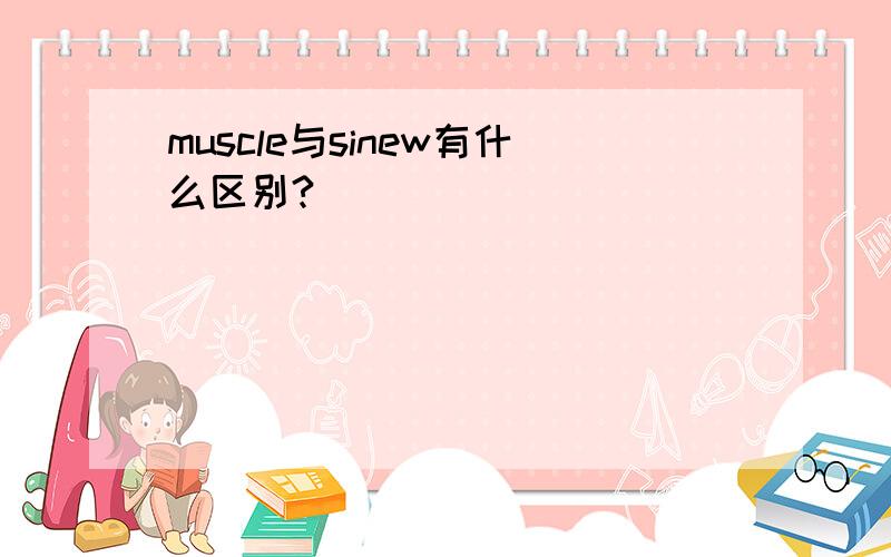 muscle与sinew有什么区别?