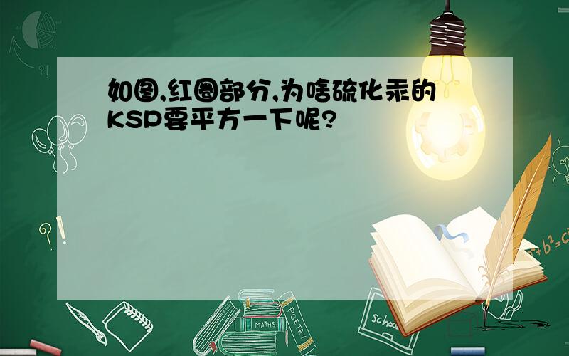 如图,红圈部分,为啥硫化汞的KSP要平方一下呢?