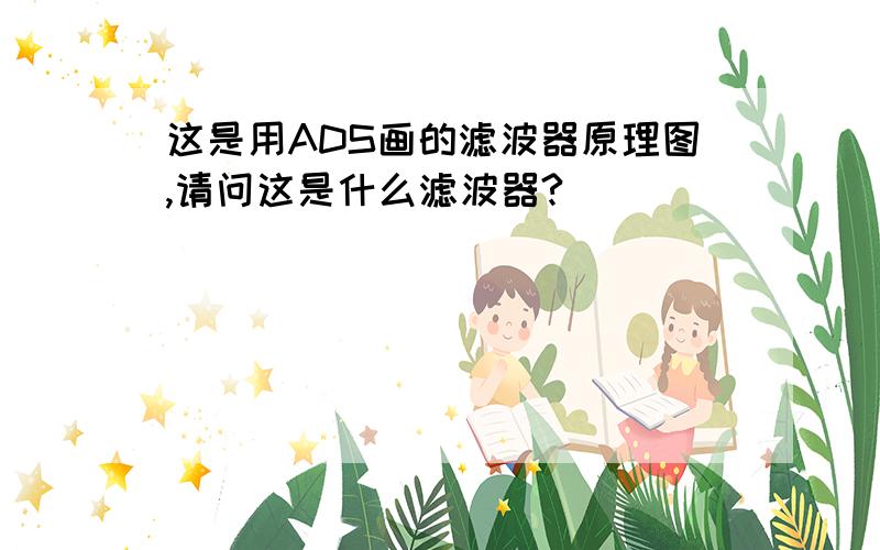 这是用ADS画的滤波器原理图,请问这是什么滤波器?