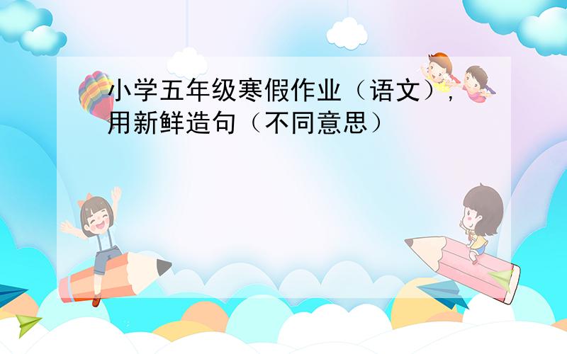 小学五年级寒假作业（语文）,用新鲜造句（不同意思）