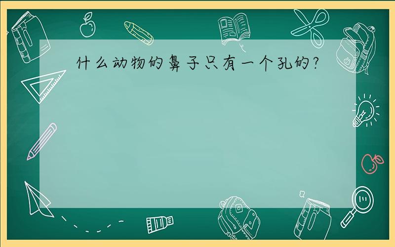 什么动物的鼻子只有一个孔的?