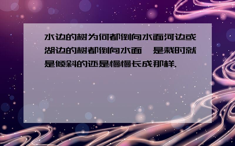 水边的树为何都倒向水面河边或湖边的树都倒向水面,是栽时就是倾斜的还是慢慢长成那样.