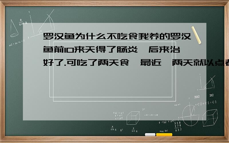 罗汉鱼为什么不吃食我养的罗汉鱼前10来天得了肠炎,后来治好了.可吃了两天食,最近一两天就以点都不吃了,麻烦个位有懂的指教啊