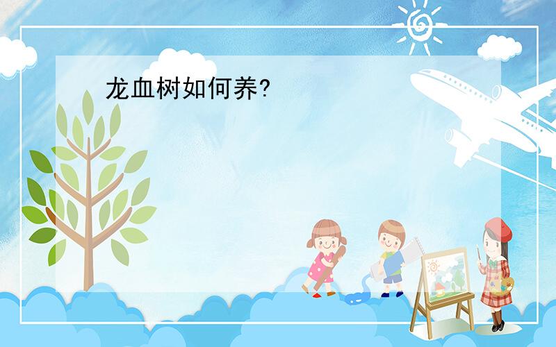 龙血树如何养?