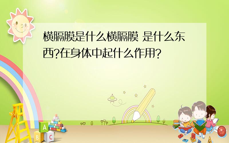 横膈膜是什么横膈膜 是什么东西?在身体中起什么作用?