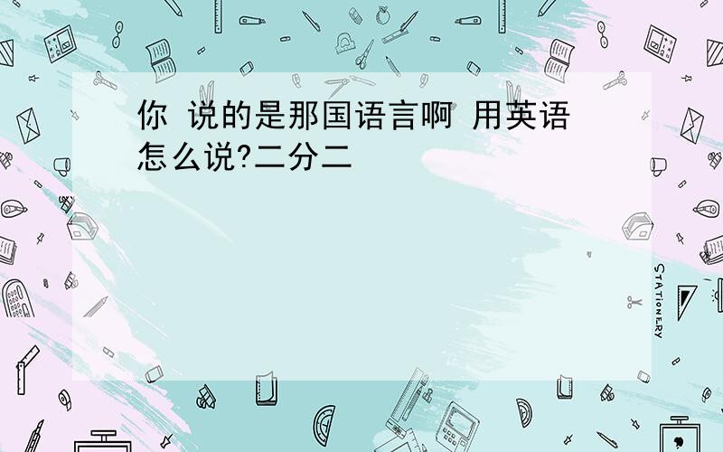 你 说的是那国语言啊 用英语怎么说?二分二