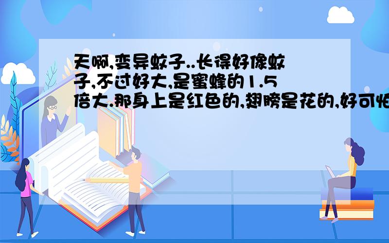 天啊,变异蚊子..长得好像蚊子,不过好大,是蜜蜂的1.5倍大.那身上是红色的,翅膀是花的,好可怕,谁知道是什么东西哇..