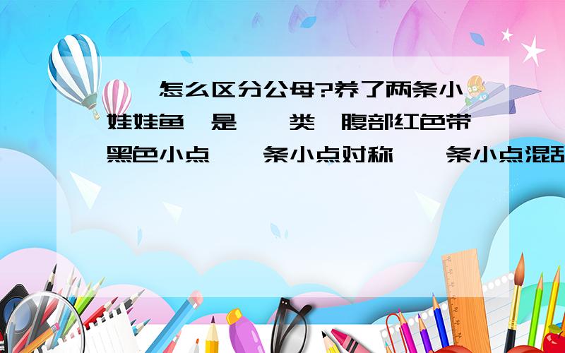 蝾螈怎么区分公母?养了两条小娃娃鱼,是蝾螈类,腹部红色带黑色小点,一条小点对称,一条小点混乱.但不知道怎么区分它们?