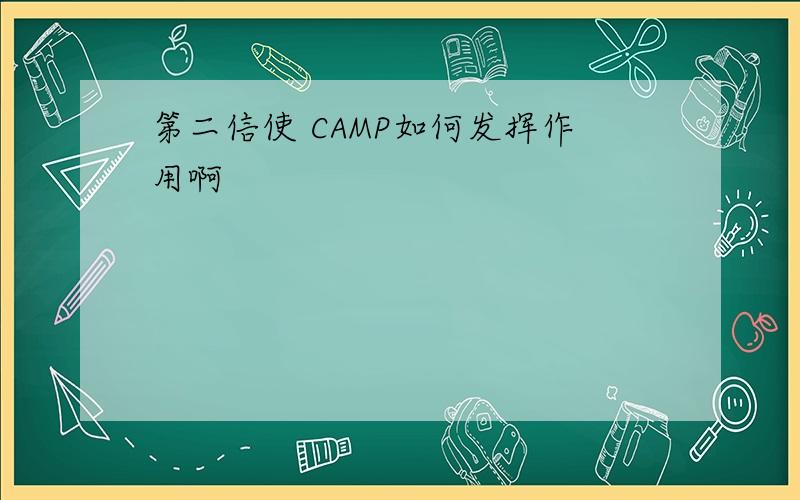 第二信使 CAMP如何发挥作用啊