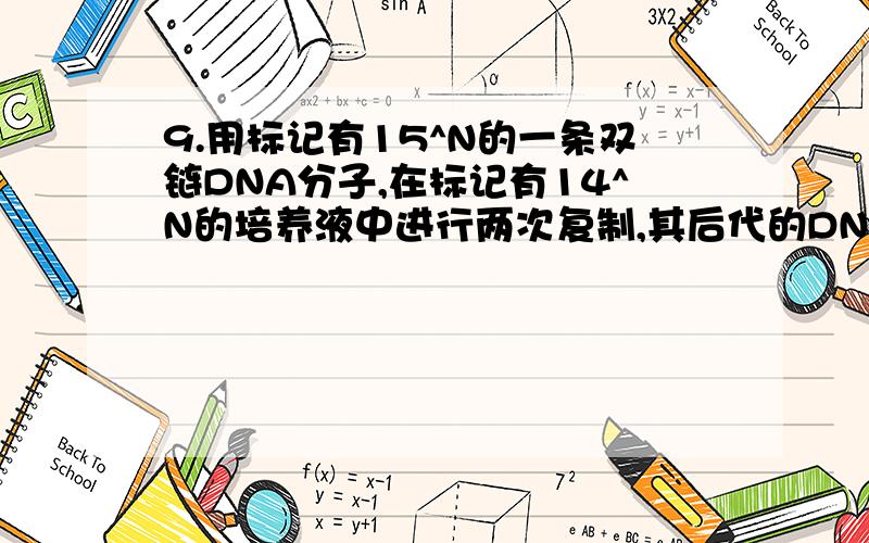 9.用标记有15^N的一条双链DNA分子,在标记有14^N的培养液中进行两次复制,其后代的DNA分子单链中,含14^N和15^N的比值为?A1:1 B2:1 C3:1 D4:1