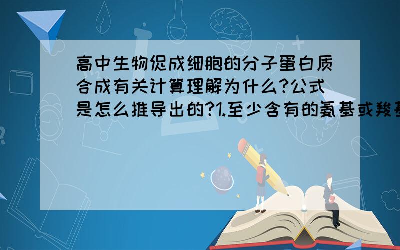 高中生物促成细胞的分子蛋白质合成有关计算理解为什么?公式是怎么推导出的?1.至少含有的氨基或羧基数=肽链数2.氨基或羧基数目=肽链数+R基中含有的氨基或羧基数3.N原子数=肽键数+肽链数+