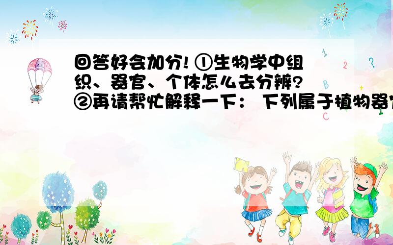 回答好会加分! ①生物学中组织、器官、个体怎么去分辨? ②再请帮忙解释一下： 下列属于植物器官的是：（答案选D,解释下为什么,其它有属于什么,又为什么?） A、洋葱表皮 B、松树 C、叶肉