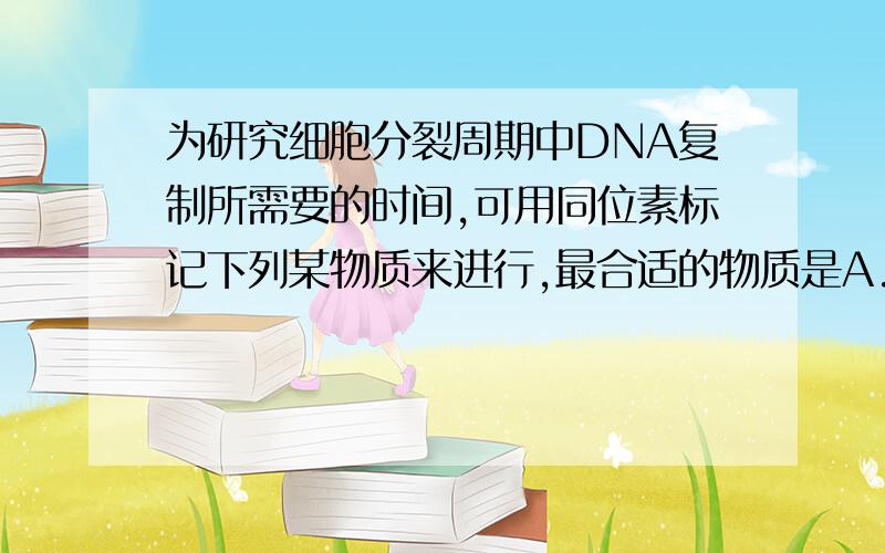 为研究细胞分裂周期中DNA复制所需要的时间,可用同位素标记下列某物质来进行,最合适的物质是A.鸟嘌呤B.腺嘌呤C.胸腺嘧啶D.胞嘧叮