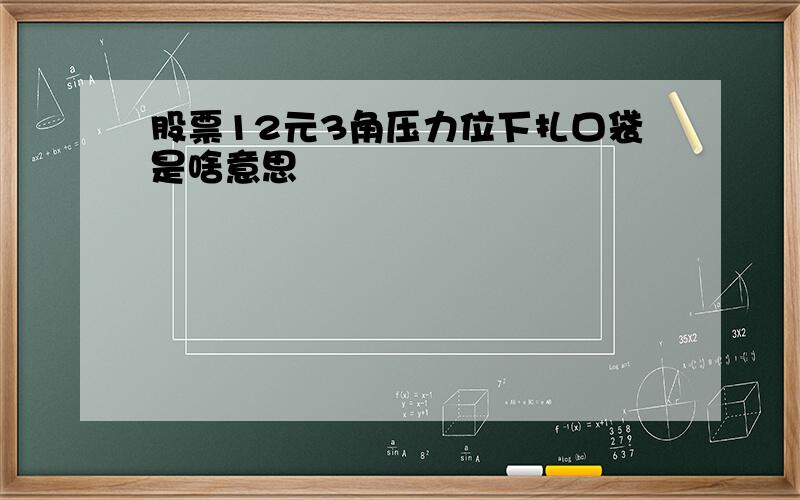 股票12元3角压力位下扎口袋是啥意思