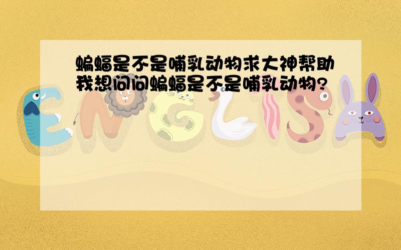 蝙蝠是不是哺乳动物求大神帮助我想问问蝙蝠是不是哺乳动物?