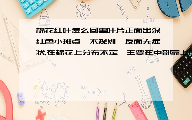 棉花红叶怎么回事叶片正面出深红色小班点,不规则,反面无症状.在棉花上分布不定,主要在中部靠上的叶片上,不是红叶茎枯病