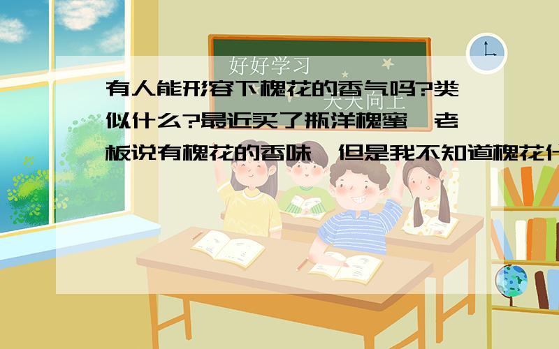 有人能形容下槐花的香气吗?类似什么?最近买了瓶洋槐蜜,老板说有槐花的香味,但是我不知道槐花什么味,形容下,类似什么香味?