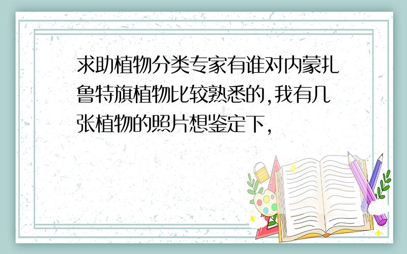 求助植物分类专家有谁对内蒙扎鲁特旗植物比较熟悉的,我有几张植物的照片想鉴定下,