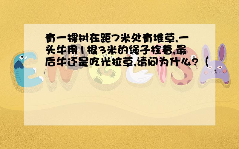 有一棵树在距7米处有堆草,一头牛用1根3米的绳子栓着,最后牛还是吃光拉草,请问为什么?（