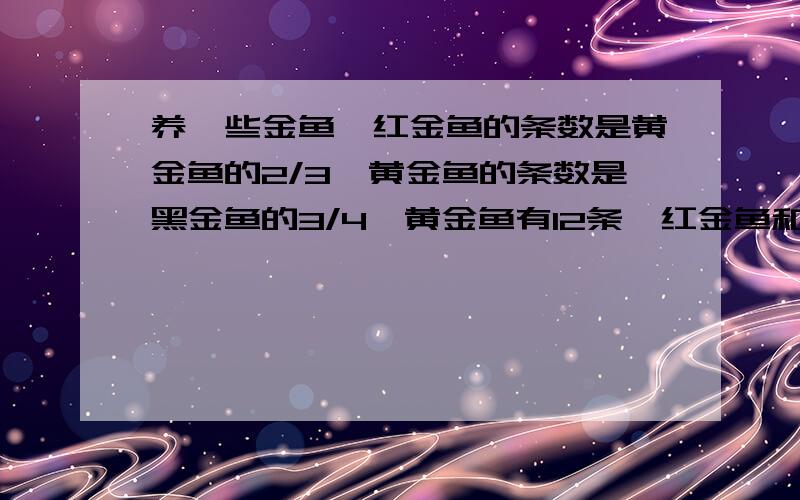 养一些金鱼,红金鱼的条数是黄金鱼的2/3,黄金鱼的条数是黑金鱼的3/4,黄金鱼有12条,红金鱼和黑金鱼各有多少条?