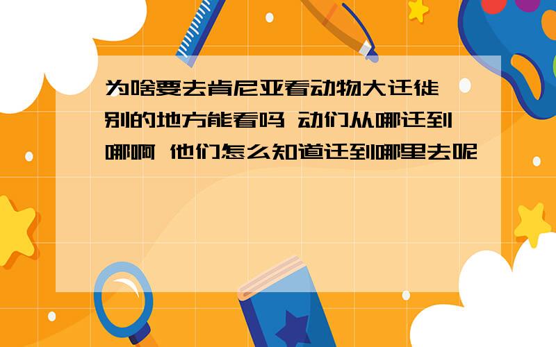 为啥要去肯尼亚看动物大迁徙 别的地方能看吗 动们从哪迁到哪啊 他们怎么知道迁到哪里去呢