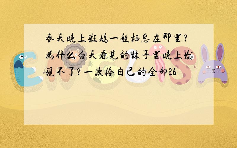 春天晚上斑鸠一般栖息在那里?为什么白天看见的林子里晚上发现不了?一次给自己的全部26