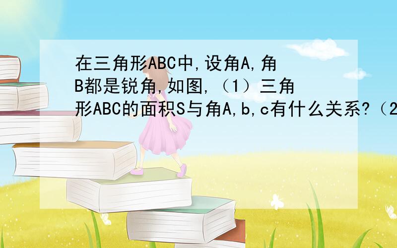 在三角形ABC中,设角A,角B都是锐角,如图,（1）三角形ABC的面积S与角A,b,c有什么关系?（2）三角形面积S与角B,a,c有什么关系?（3）求证sinA分之a=sinB分之b