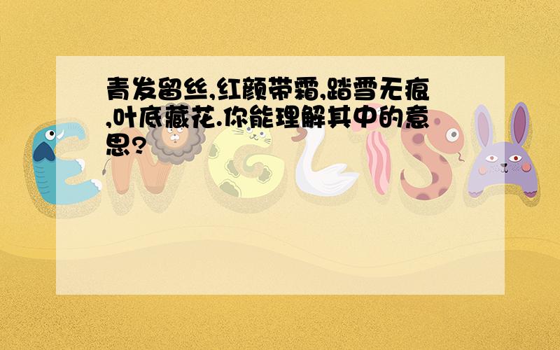 青发留丝,红颜带霜,踏雪无痕,叶底藏花.你能理解其中的意思?