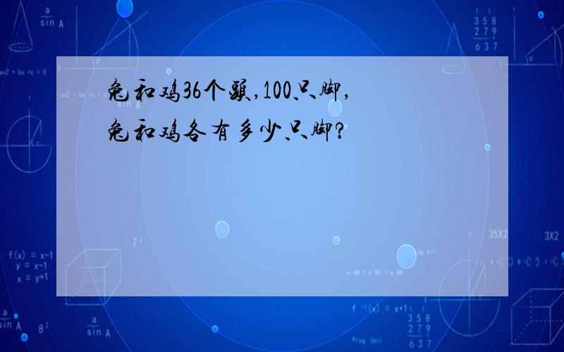 兔和鸡36个头,100只脚,兔和鸡各有多少只脚?