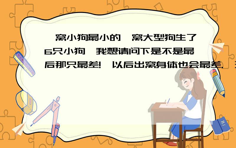 一窝小狗最小的一窝大型狗生了6只小狗,我想请问下是不是最后那只最差!  以后出窝身体也会最差.  现在的话那只最先出生的还是个体最大的.  最后生的那只和第3.4.5只差不多.  牛头不对马嘴