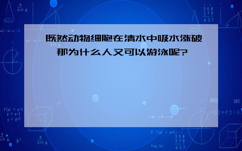 既然动物细胞在清水中吸水涨破,那为什么人又可以游泳呢?