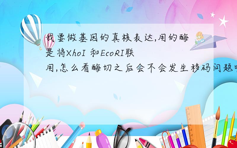 我要做基因的真核表达,用的酶是将XhoI 和EcoRI联用,怎么看酶切之后会不会发生移码问题呢?请多多指教!这是我用的真核表达质粒载体还有就是，我的那个目的基因有自己的启动密码子和终止