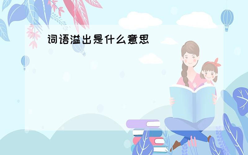 词语溢出是什么意思