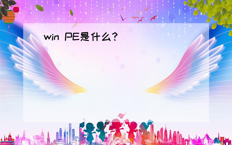 win PE是什么?