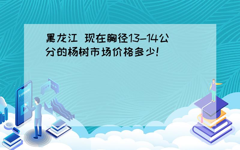 黑龙江 现在胸径13-14公分的杨树市场价格多少!