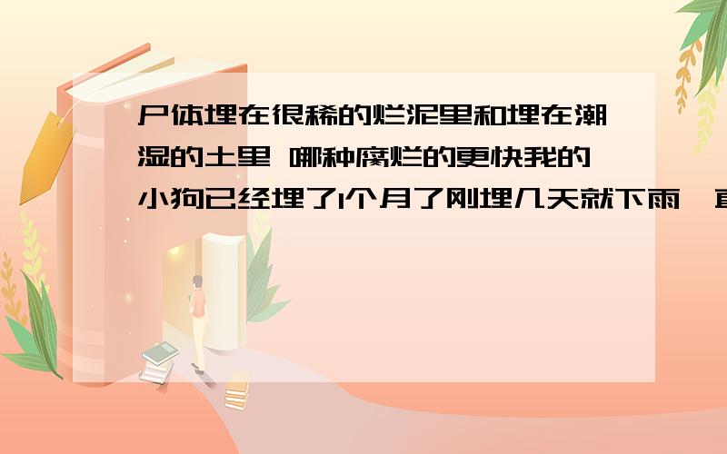 尸体埋在很稀的烂泥里和埋在潮湿的土里 哪种腐烂的更快我的小狗已经埋了1个月了刚埋几天就下雨一直在很稀的烂泥里 我想问下她现在是不是都腐烂变臭了