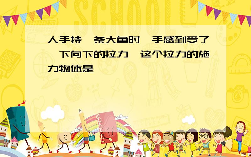 人手持一条大鱼时,手感到受了一下向下的拉力,这个拉力的施力物体是