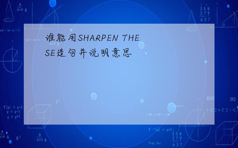 谁能用SHARPEN THESE造句并说明意思