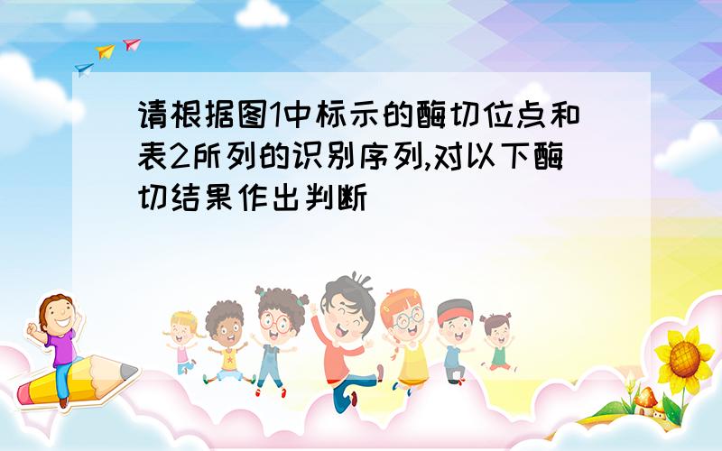 请根据图1中标示的酶切位点和表2所列的识别序列,对以下酶切结果作出判断