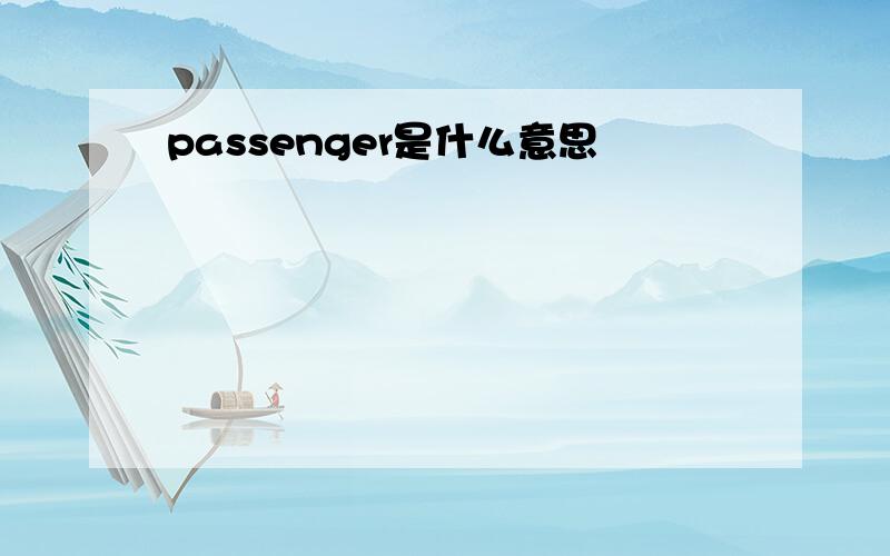 passenger是什么意思