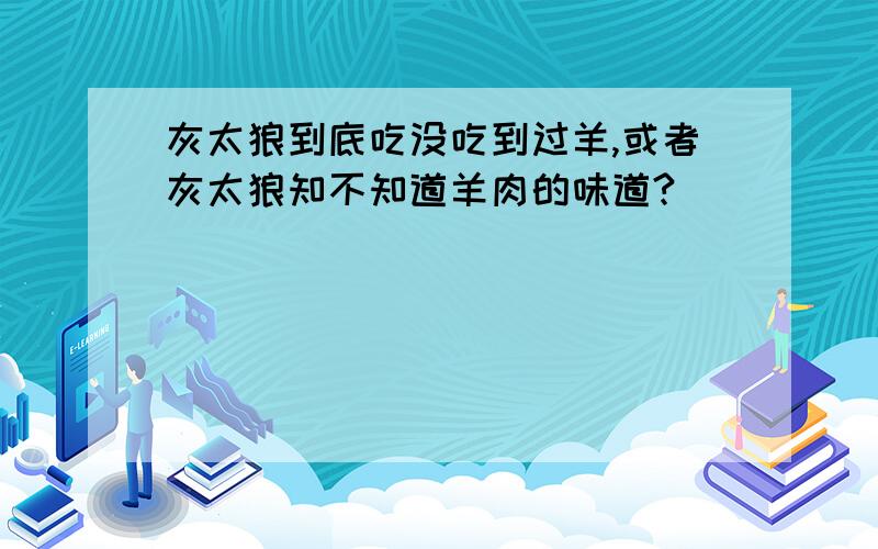 灰太狼到底吃没吃到过羊,或者灰太狼知不知道羊肉的味道?